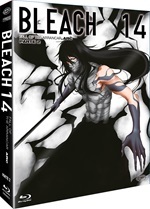 Bleach (First Press)
